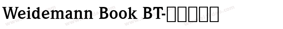 Weidemann Book BT字体转换